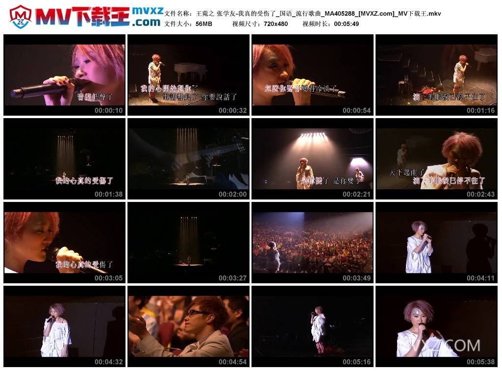 王菀之 张学友-我真的受伤了_国语_流行歌曲_MA405288